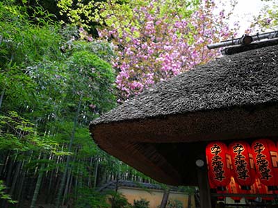 零基础日语学习需要注意的事项