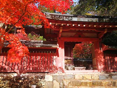 零基础学习日语需要掌握的技巧