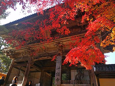 日语入门学习之浊音是怎样形成的