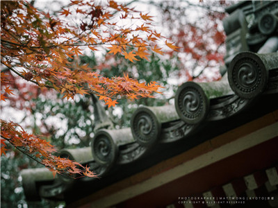 理解复杂的日语句子往往是这么做的