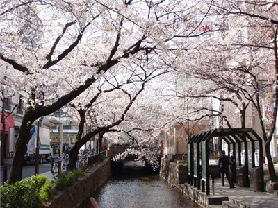 日语中的外来语有哪些语言特性