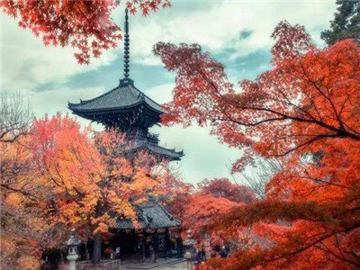 日语入门结束时应该掌握哪些知识